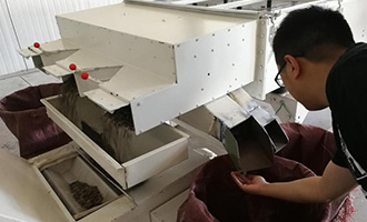 一顆新疆瓜子的河南故事！良品鋪?zhàn)庸?yīng)鏈溯源，“五星級(jí)”瓜子有啥不一樣